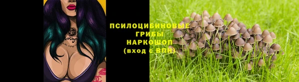 трава Баксан