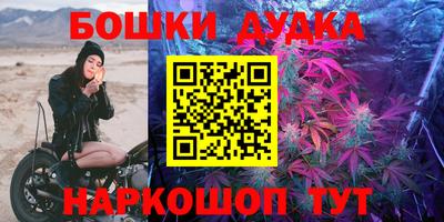молекула духа Новозыбков