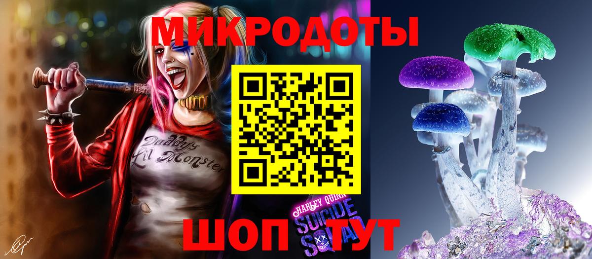 Пятигорск  продажа наркотиков  Вход с VPN  Галлюциногенные грибы Psilocybe  Псилоцибиновые грибы Psilocybine cubensis 